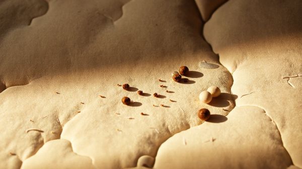 Liste des signes révélant la présence de punaises de lit